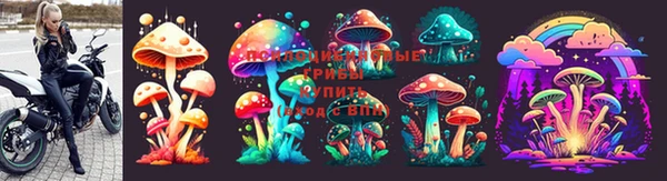 spice Кукмор