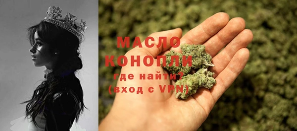 молекула духа Кулебаки