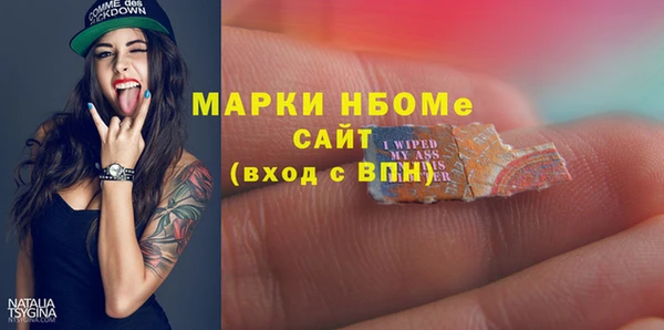 молекула духа Кулебаки