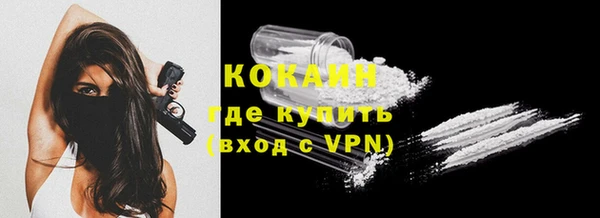 молекула духа Кулебаки