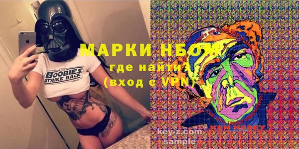 молекула духа Кулебаки