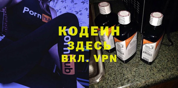 молекула духа Кулебаки