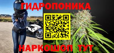 гашиш Гусиноозёрск