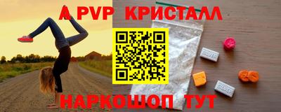 СК Гусь-Хрустальный