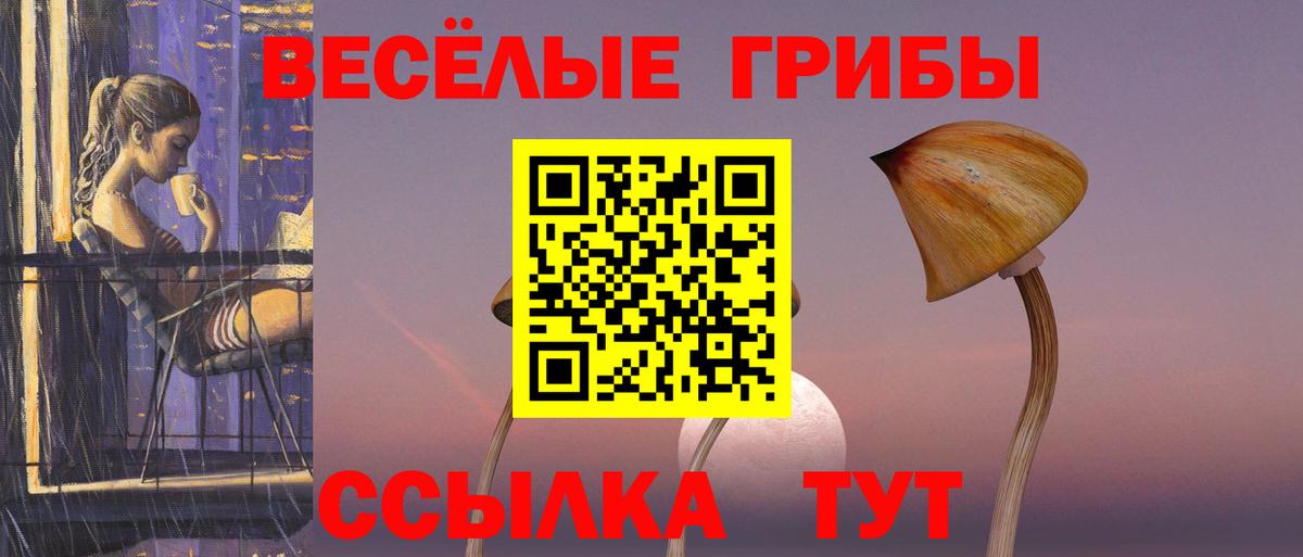 Керчь  Галлюциногенные грибы прущие грибы  Вход с VPN  Галлюциногенные грибы мухоморы 